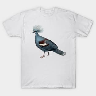 Magnificent Bird T-Shirt